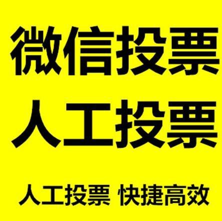 昭通市投票活动拉票能被查出来吗？如何操作能不被发现？
